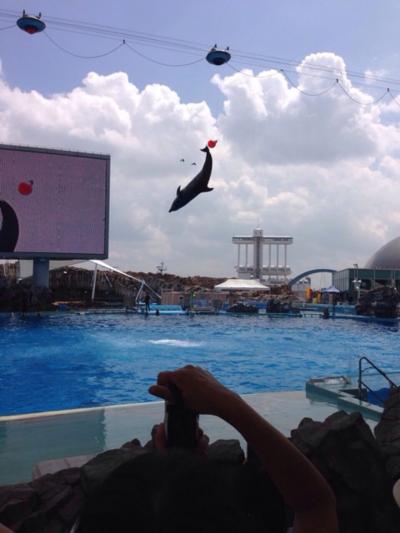 名古屋港水族館 名古屋旅行２日目