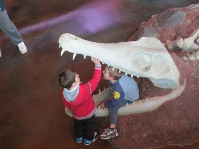 生まれて初めての南半球！メルボルン1日目　①サザンクロス駅、水族館　ほか