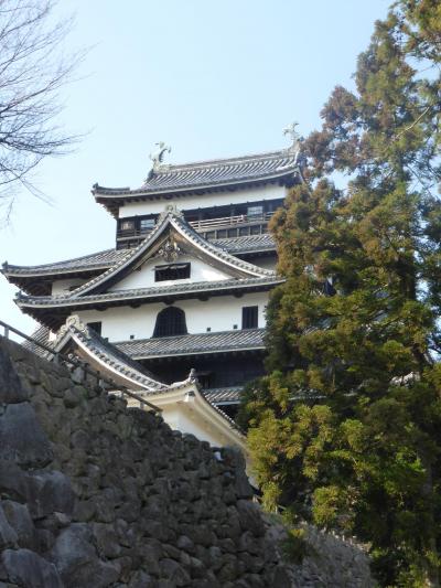 日本海周遊旅情2014’01松江城の天守閣と360度のパノラマ