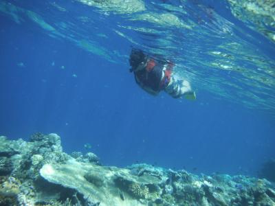 〈初モルジブ〉ダイジェスト版 アンサナイフル滞在 シュノーケル三昧の4日間。