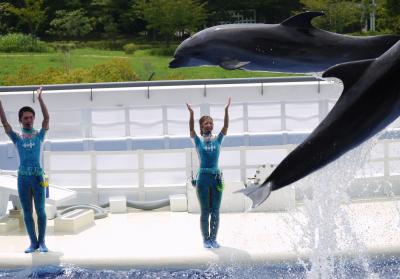 ちょっと梅小路公園まで(京都水族館編)