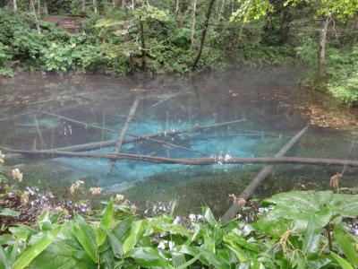 記念スタンプの旅 Ⅱ-3 ~羅臼経由・神の子池・阿寒湖遊覧船~