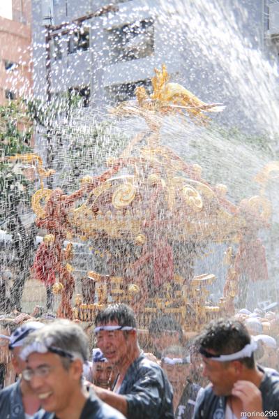 深川・富岡八幡宮の水掛け祭り 2014