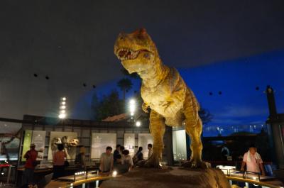 金沢からR157号線を南下し、恐竜博物館へ。2−2