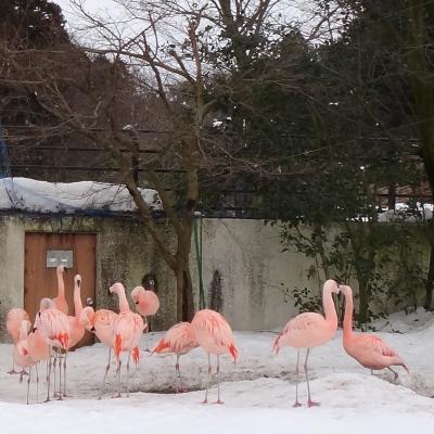 砺波ロイヤルホテルと富山ファミリーパーク