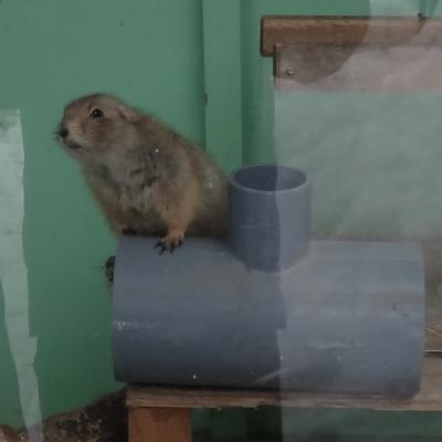 またまたきました、ファミリーパーク