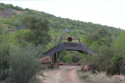 南アゲームサファリ