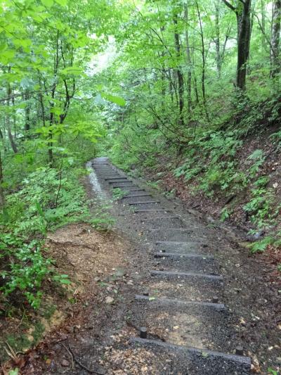 青森3目：弘前～白神山地（ブナ林）～黒石温泉郷