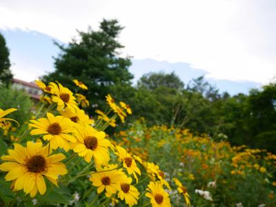 ’14夏 お花いっぱいの北海道♪② 帯広ガーデン巡り