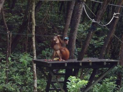 2013 コタキナバルでバースデー♡