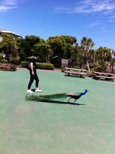 温泉旅行２ ｉｎ 伊豆高原（＾＾）１