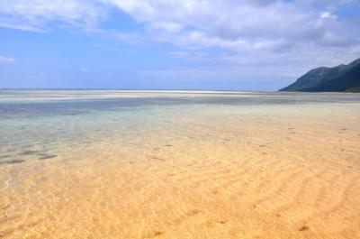 ロングステイ石垣島２１日間　その１7日目 アイランドホッピングパス５日間　5日目西表島大原　2014年2月28日