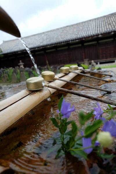 【２時限目：古文】　枕詞　「あをによし・・・・・」