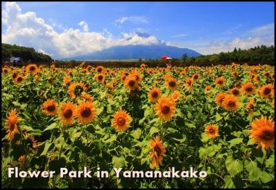 【夏の高原ドライブ】 青空の下で夏を満喫♪山梨&信州へ!