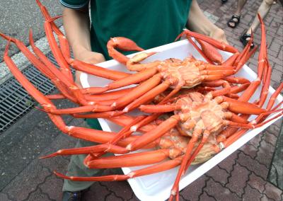 新潟県　上越　かにを頬張る　イルカショーを観る