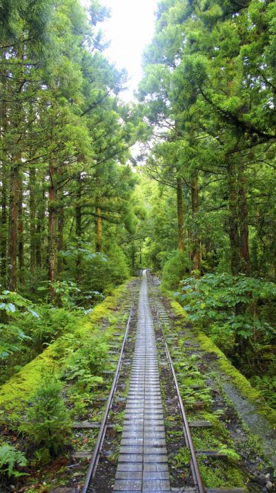 鹿児島・屋久島の旅