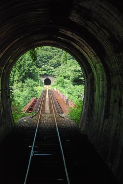 越前の山あいを走るローカル線「越美北線の旅」（福井）