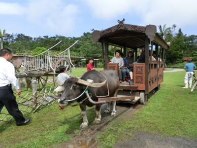 ２０１３年３歳児と行く春休みの沖縄①