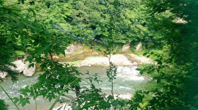 夏の鬼怒川温泉で森林浴♪