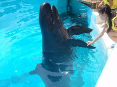 思い出版☆沖縄家族旅行｡o@(^-^)@o｡ﾆｺｯ♪（最後の家族旅行となりつつ・・・泣）後編