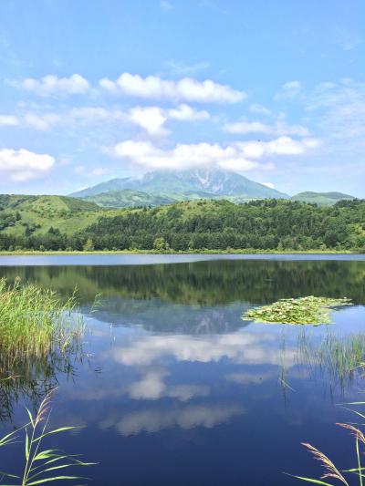 サハリン(旧樺太)へ行ってきた！-帰りに利尻島に寄りました-