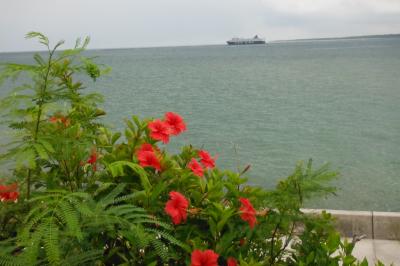 お初、沖縄離島の石垣島その１