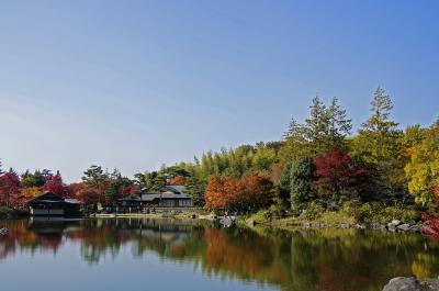 昭和記念公園の紅葉（2013年11月）