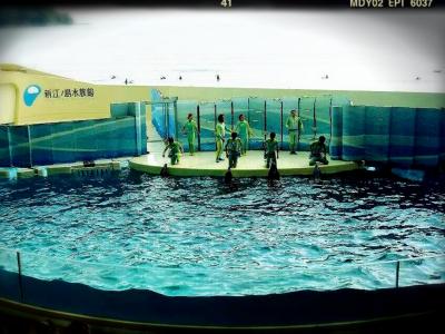 2012 春旅@新江ノ島水族館&みなとみらい
