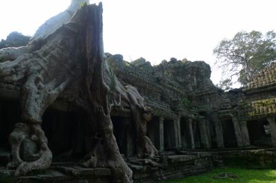 SiemReap &amp; Angkor wat .. etc (3日目)