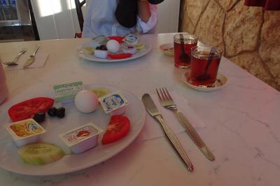 トルコ東側を巡る旅 7 ネムルトダーゥ→マラティア→スィワス