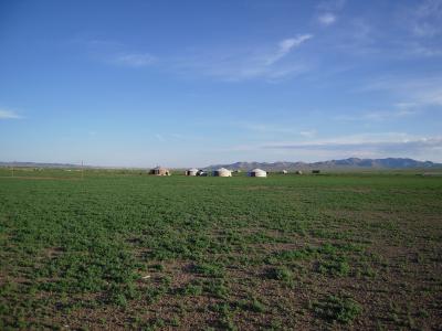 モンゴル旅日記　地球の原風景を求め草原の海へinモンゴル