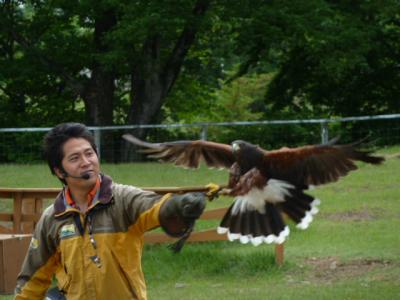 久しぶりの那須温泉！　隠れ家的ペンション　”バイブリー”へ急遽お泊り 2013年６月