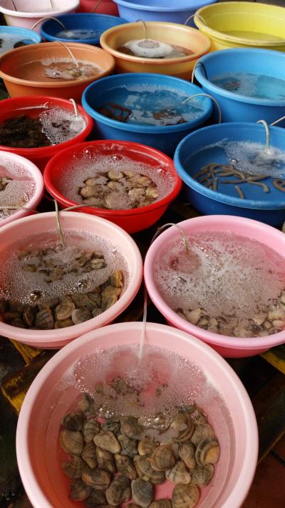 2014 夏休み ハノイ＆ホーチミンの旅 2日目ハノイ