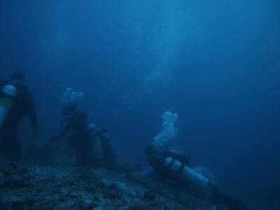 2014 フィリピン マラパスクア島でニタリダイブ!