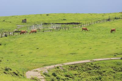 東京から青春１８キップでひとり旅ガ～ルと阿蘇へ。