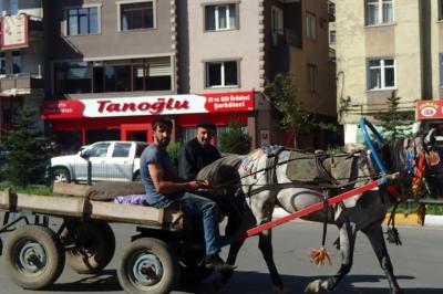 トルコ東側を巡る旅　10　エルズルム→トラブゾン