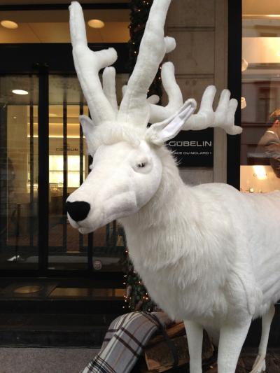 ひとりで冬のヨーロッパ 6.リヨンからジュネーヴへ