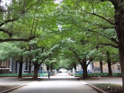 (1) 東京散歩、銀座、東京大学（本郷キャンパス）　−　８月　　２０１４年