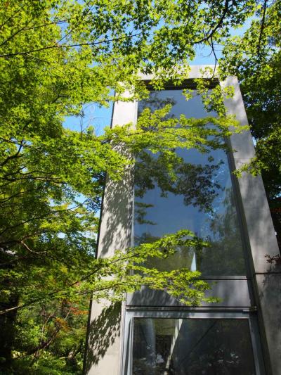 夏休み♪大山崎山荘美術館、サイコーダネ