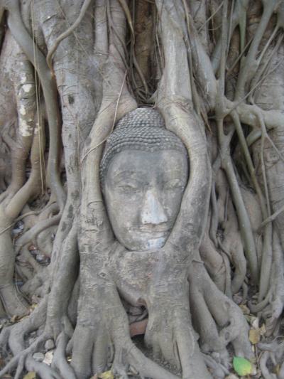 “初”Ｔｈａｉｌａｎｄ～微笑みの国～離島も行ってみました【Part3】