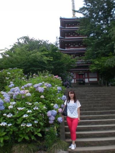 てくてく。。おさんぽ～☆　しりーず⑨　本土寺の綺麗な紫陽花に圧巻！！　2014☆