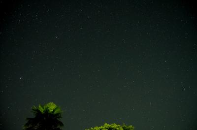 千葉　夏の夜空　満天の星と天の川　