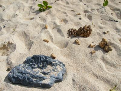 空へ 海へ　～ 初の沖縄離島　石垣島 ５日間 ～　Part１　 