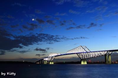 恐竜橋が輝く時☆東京ゲートブリッジ