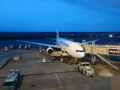 CTS-NGO　Boeing 737-800のたび。快適な飛行でした。