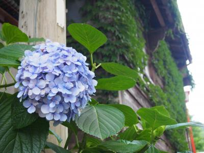 兵庫県北部・但馬を巡る～1・2日目～