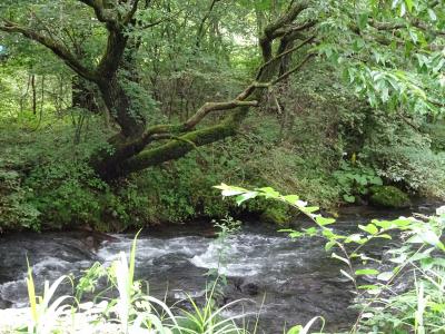 結婚前の娘と二人の最後の旅行で軽井沢
