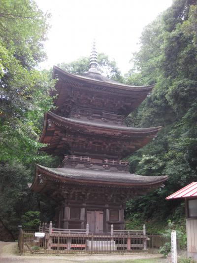 桜川市には三重塔がふたつもあるんですよ！ってことで、寺社めぐり行ってみた！