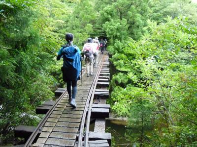 屋久島散策