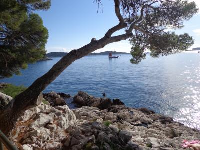 アドリアの海と太陽と 2014 Vol.7 ビーチ巡りが楽しいCavtat ツァヴタット編(クロアチア）